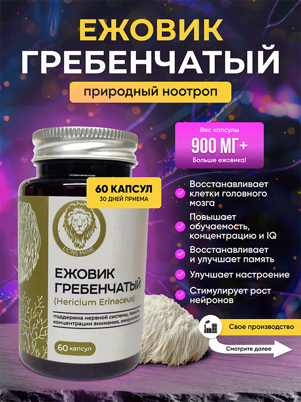 Инфографика для БАДов - Ежовик гребенчатый
